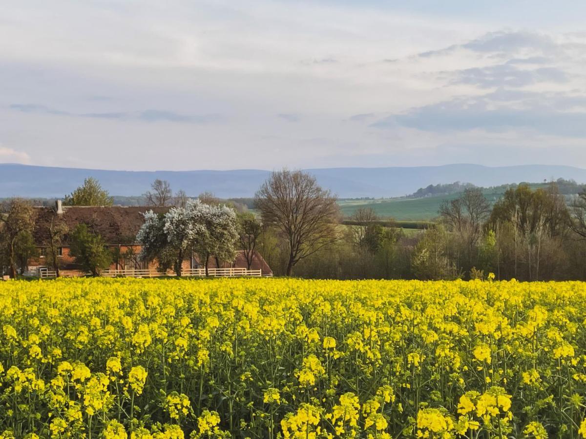 Dom Na Krzewiu Bed and Breakfast Gryfów Śląski Εξωτερικό φωτογραφία