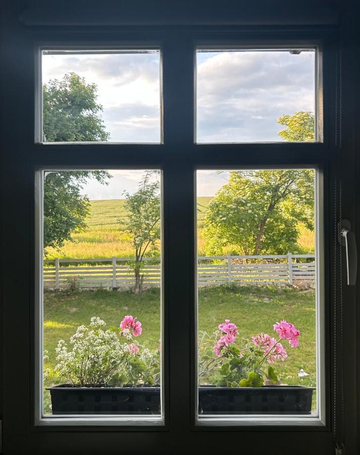 Dom Na Krzewiu Bed and Breakfast Gryfów Śląski Εξωτερικό φωτογραφία