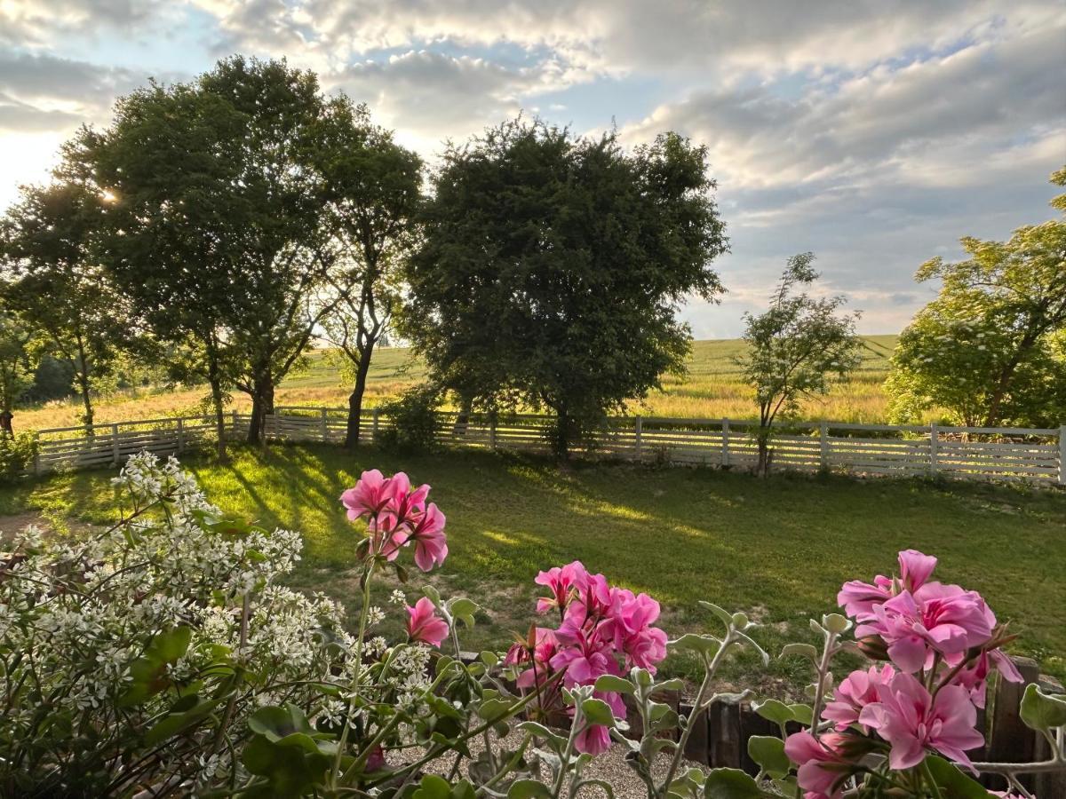 Dom Na Krzewiu Bed and Breakfast Gryfów Śląski Εξωτερικό φωτογραφία