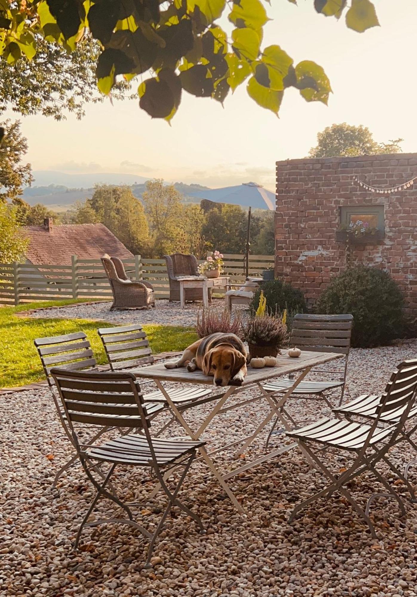 Dom Na Krzewiu Bed and Breakfast Gryfów Śląski Εξωτερικό φωτογραφία